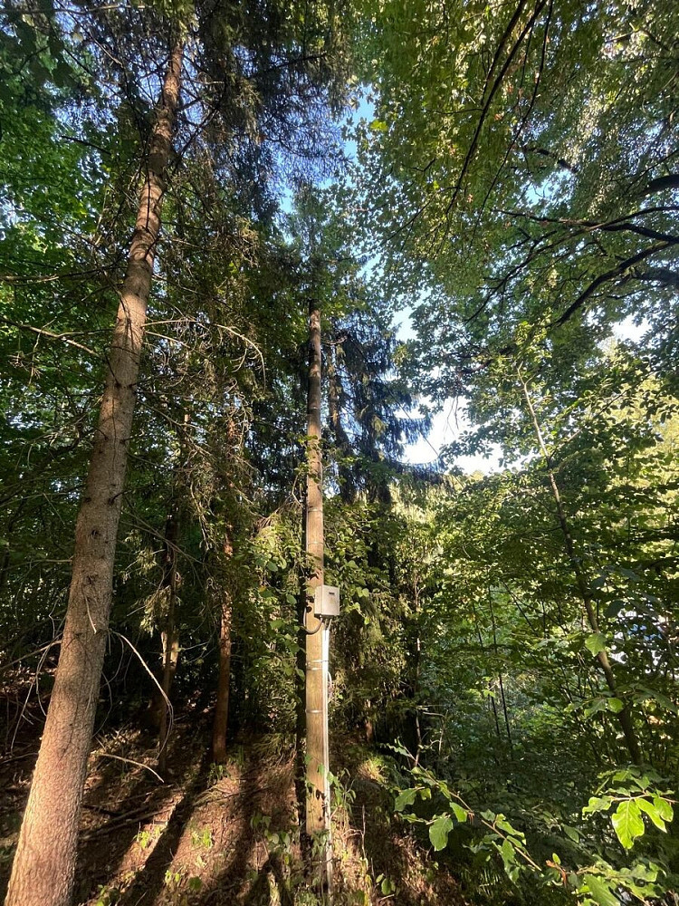 Fotka 14 z 16