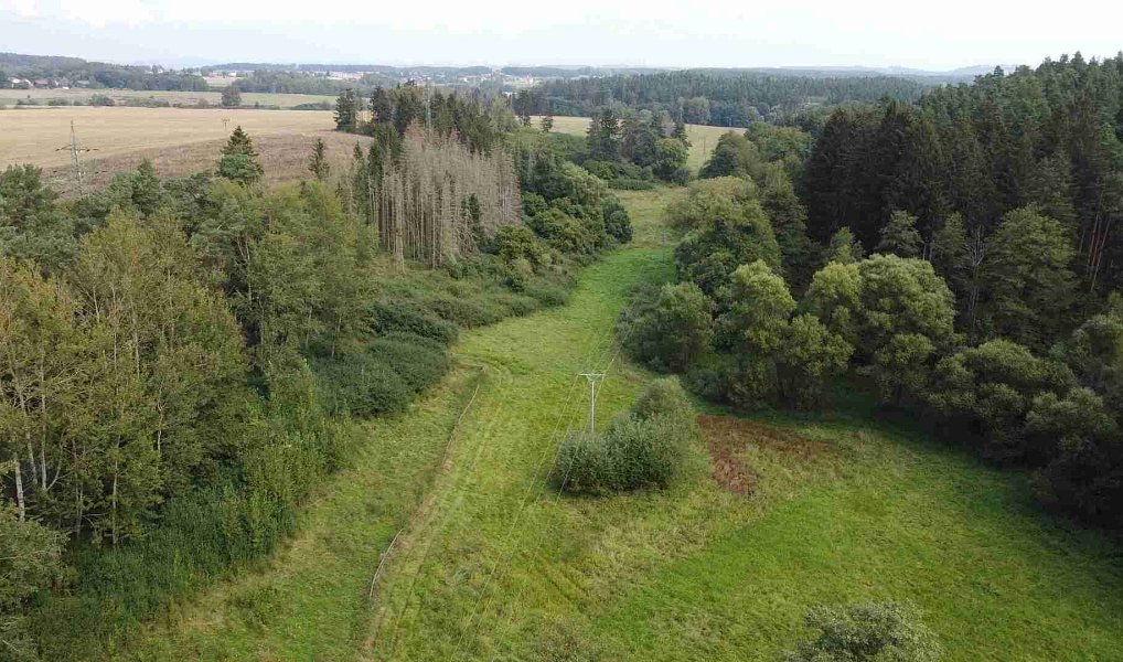 Prodej pole 58 887 m², Tachov – náhled fotky 5