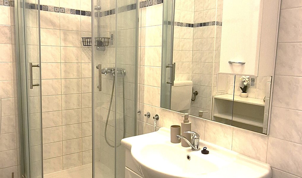 Prodej bytu 1+kk 20 m², Praha – náhled fotky 15
