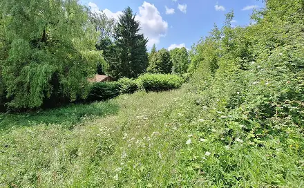 Prodej domu 80 m² s pozemkem 18 929 m², Žítková, okres Uherské Hradiště