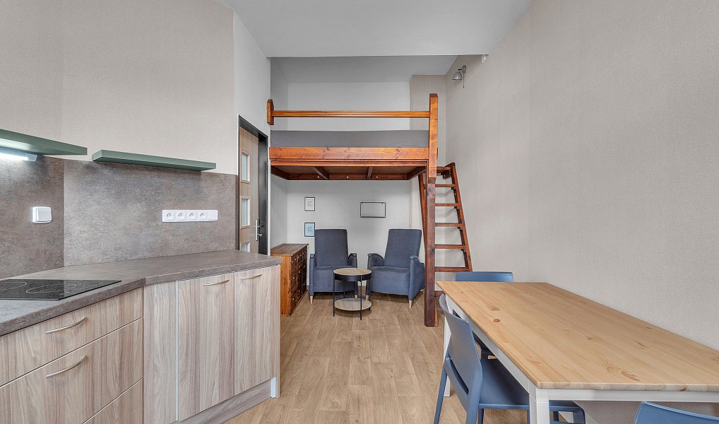 Pronájem bytu 1+kk 37 m², Trutnov – náhled fotky 3
