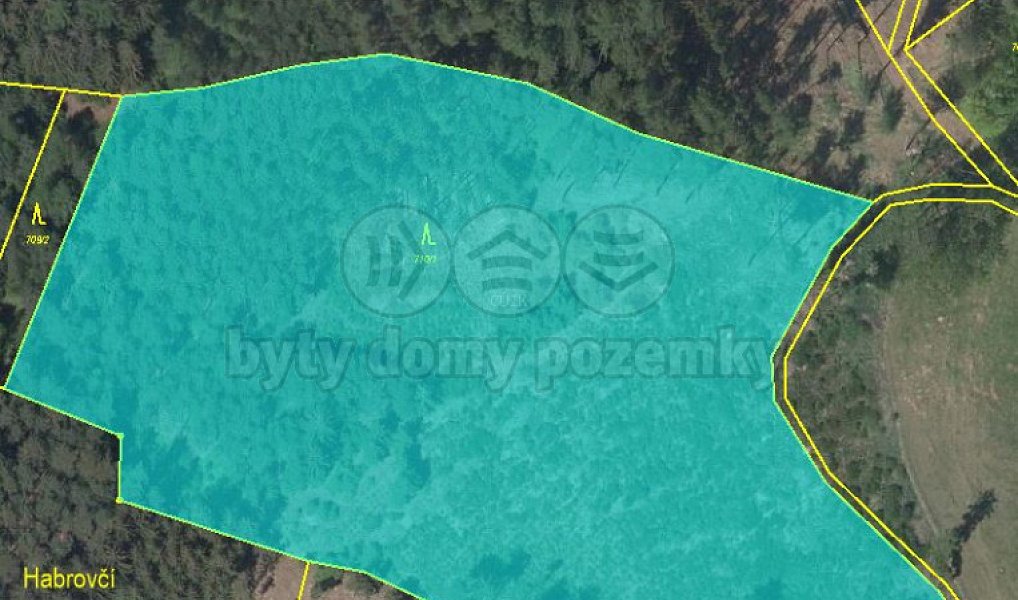 Prodej lesa 20 194 m², Pecka – náhled fotky 7