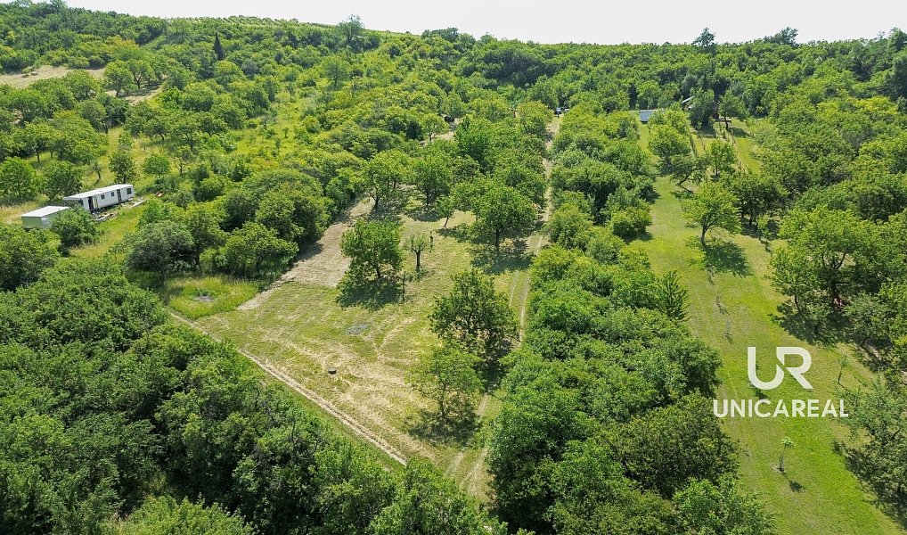 Prodej pole 3 851 m², Židlochovice – náhled fotky 2