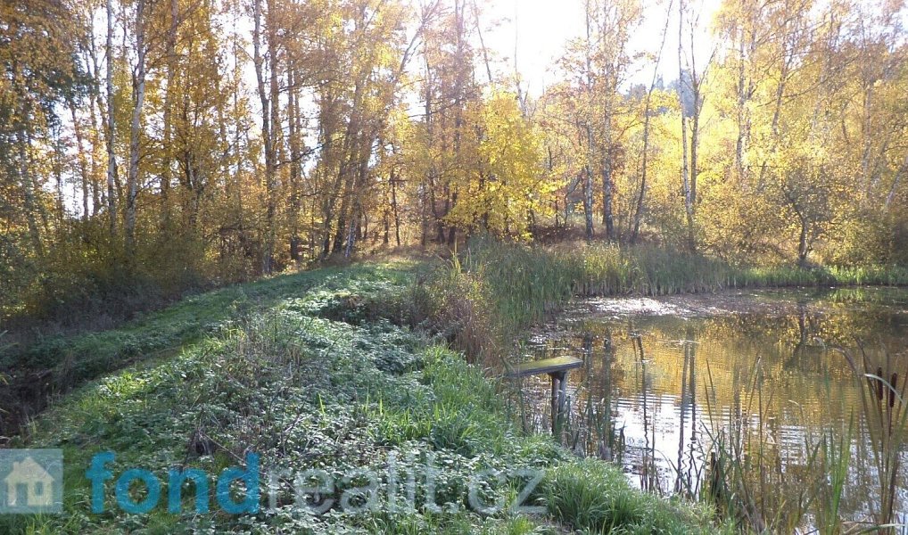 Prodej pozemku 1 225 m², Borovná – fotka 1 z 8