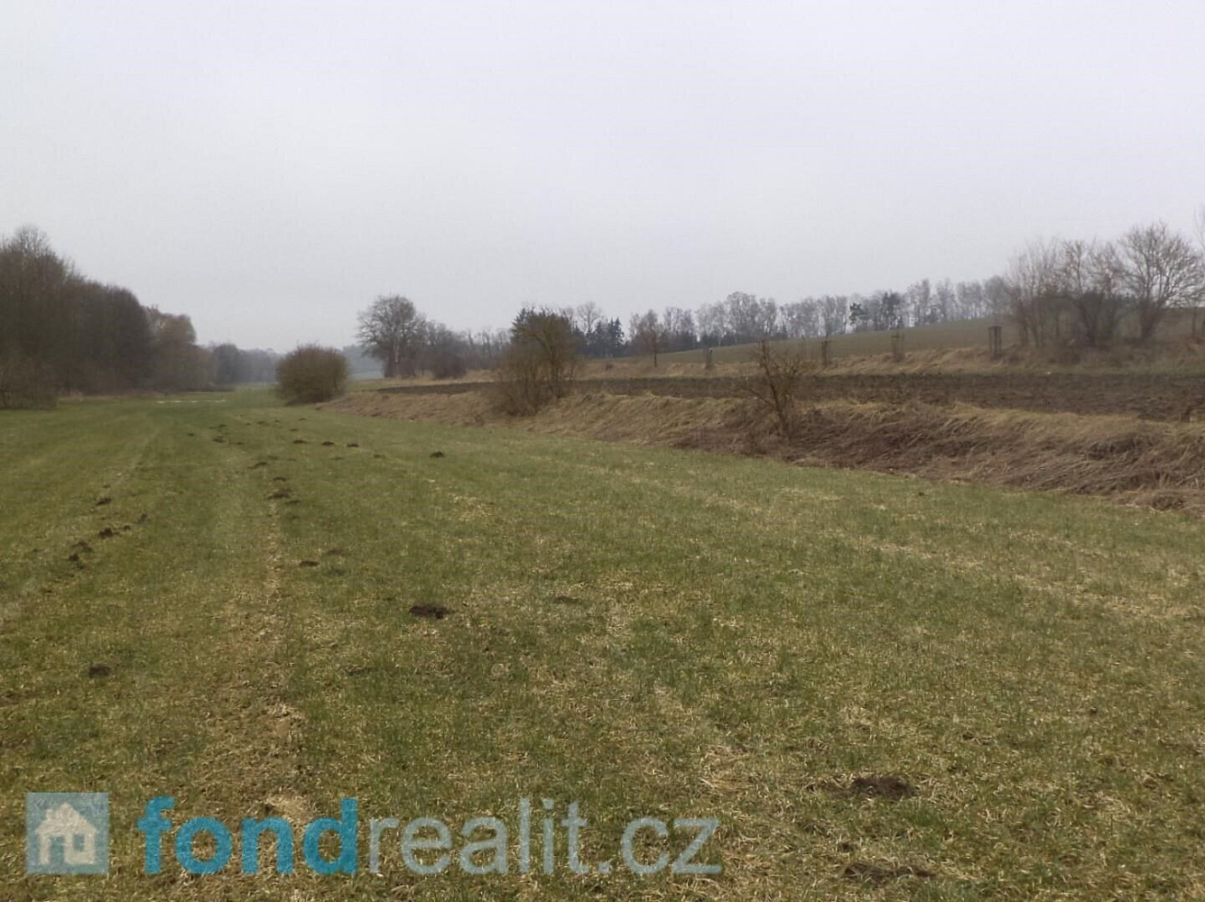 Prodej zahrady 705 m² – fotografie 2