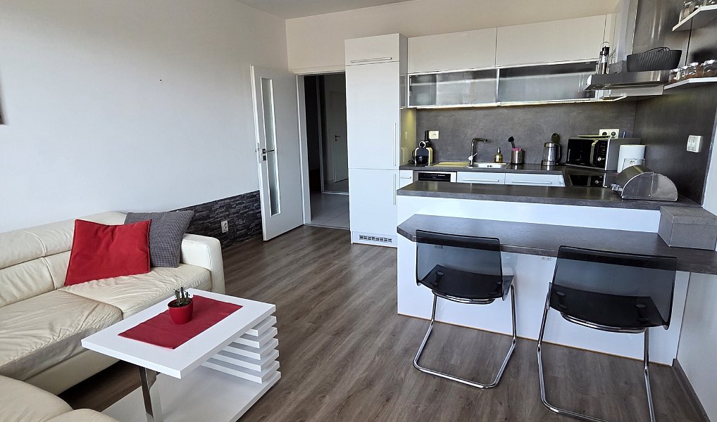 Pronájem bytu 2+kk 53 m², Brno – náhled fotky 5