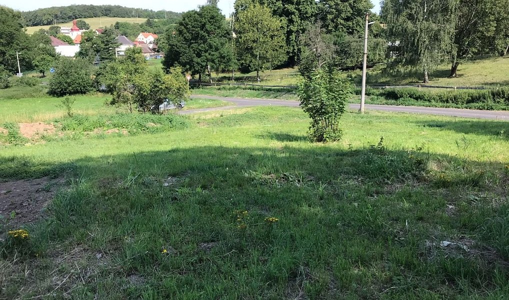 Prodej zahrady 1 851 m², Stebno – náhled fotky 5