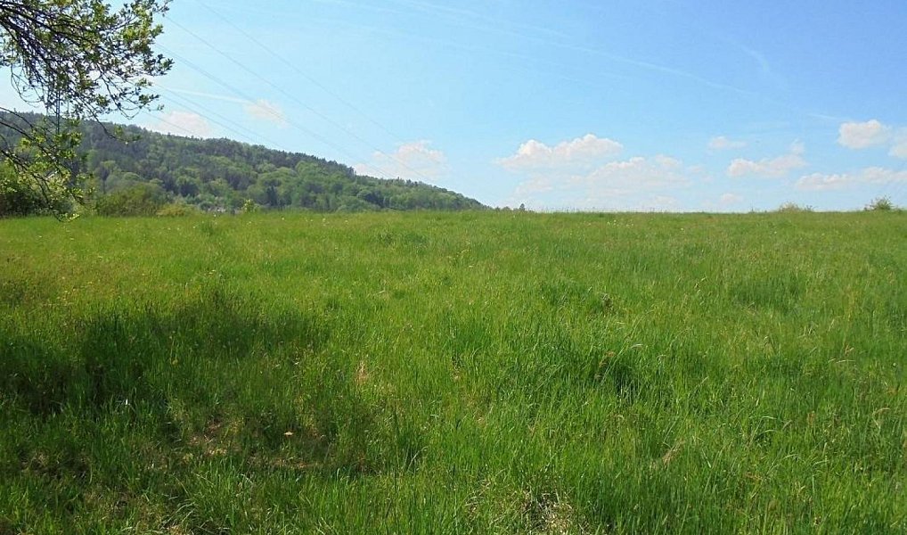 Prodej stavebního pozemku 2 187 m², Turnov – náhled fotky 3