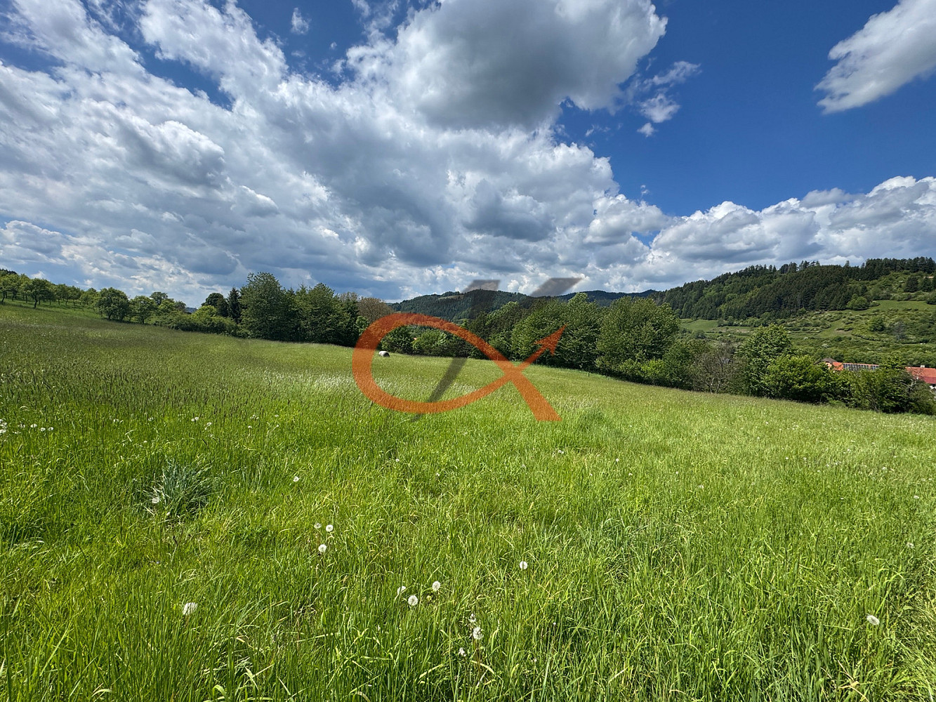 Prodej louky 25 140 m² – fotografie 4