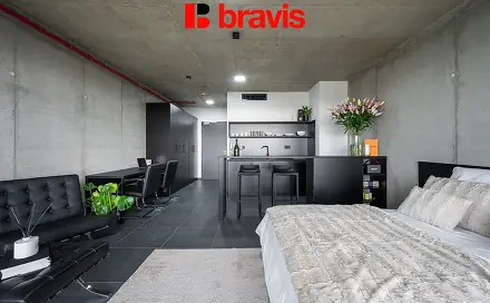 Pronájem bytu 1+kk 35 m², Královopolská, Brno - Žabovřesky