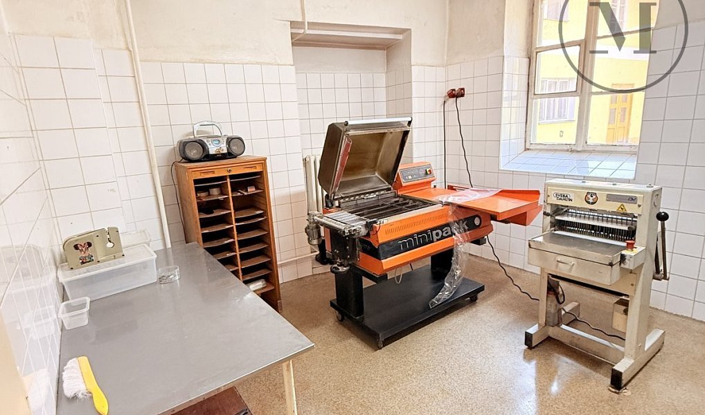 Pronájem výrobních prostor 300 m², Netolice – náhled fotky 16