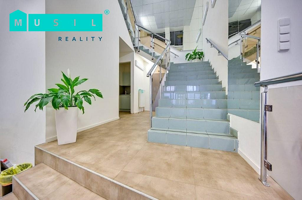Pronájem obchodních prostor 300 m² – fotografie 4