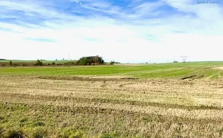 Prodej komerčního pozemku 1 354 m², Želetava - Šašovice, okres Třebíč