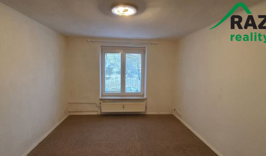 Pronájem bytu 1+1 36 m², Bor – náhled fotky 4