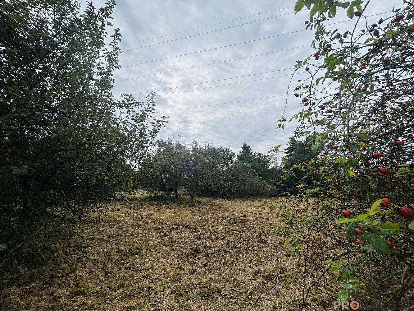 Prodej zahrady 1 611 m² – pohled 6