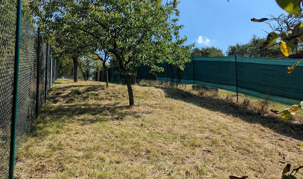 Prodej zahrady 319 m², Brno – náhled fotky 9