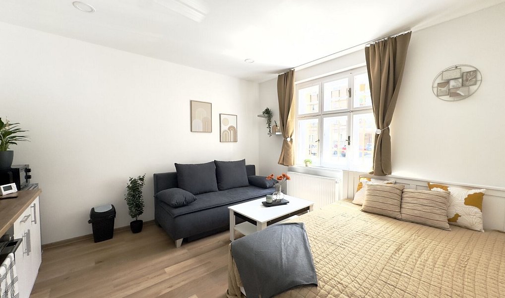 Pronájem bytu 1+kk 28 m², Liberec – náhled fotky 2