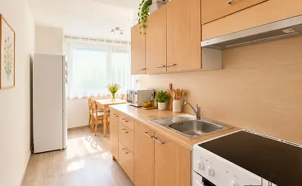 Pronájem bytu 1+1 40 m²