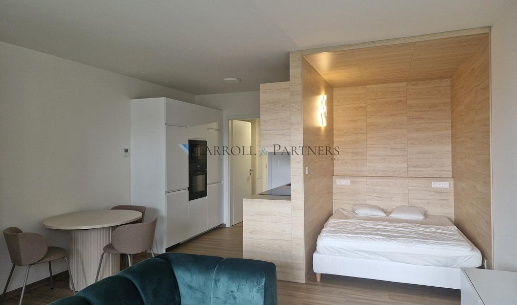 Pronájem bytu 1+kk 40 m², Ostrava – náhled fotky 5
