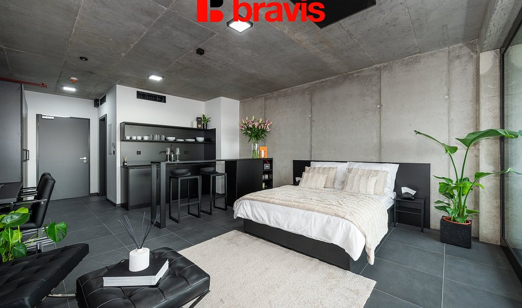 Pronájem bytu 1+kk 34 m², Brno – náhled fotky 6