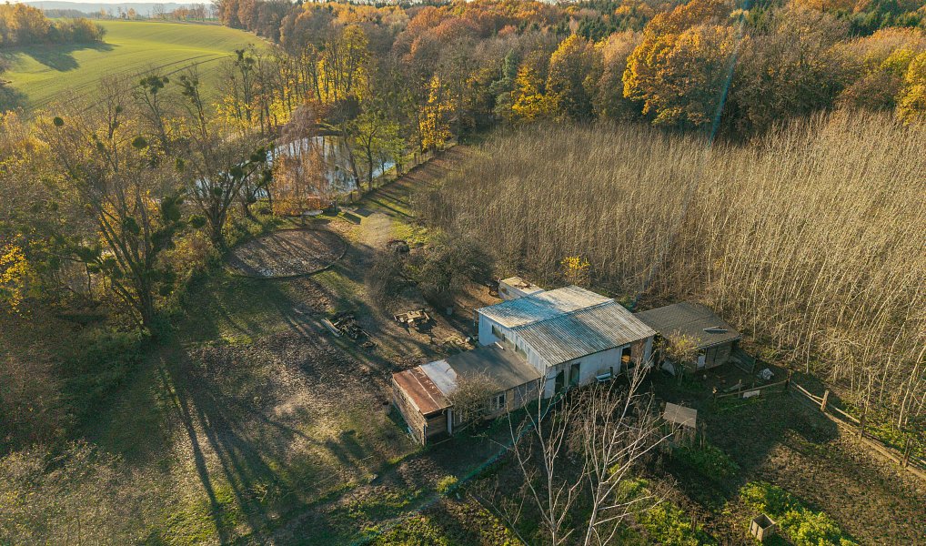 Pronájem komerčního pozemku 22 800 m², Markvartovice – náhled fotky 4