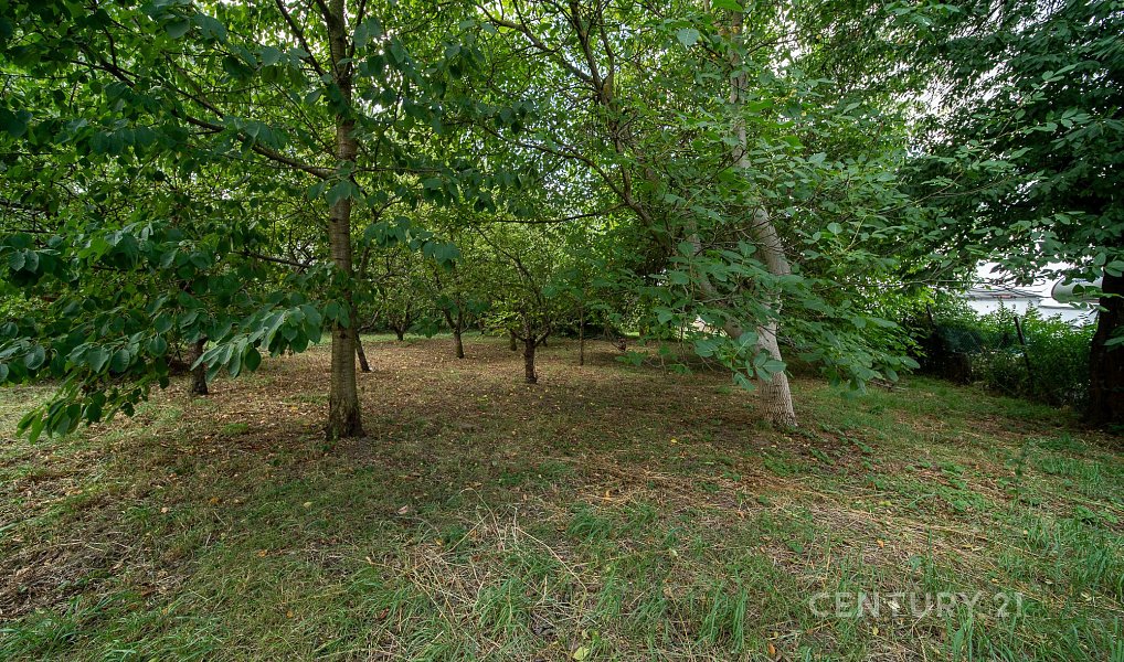 Prodej domu 145 m² s pozemkem 2 417 m², Radonice – náhled fotky 5