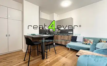 Pronájem bytu 1+kk 32 m², Římská, Praha 2 - Vinohrady