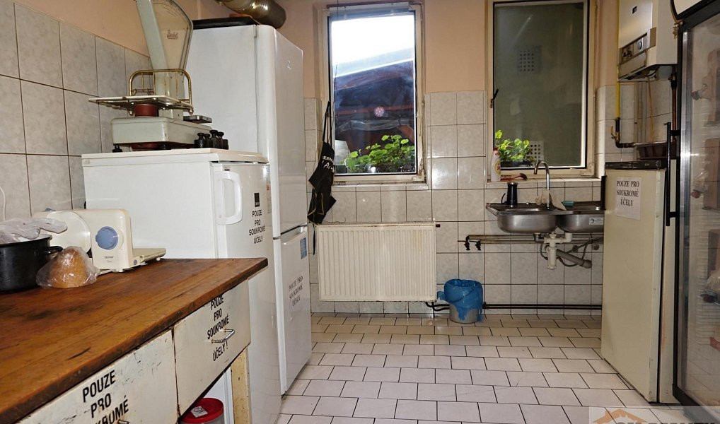 Prodej domu 250 m² s pozemkem 240 m², Kroměříž – náhled fotky 13