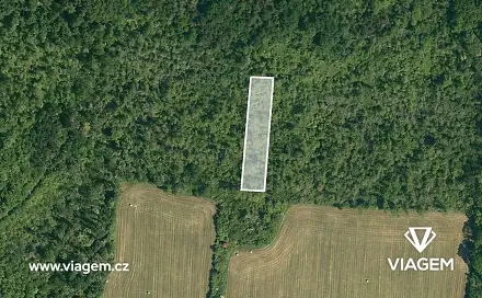 Prodej lesa 3 778 m², Dobrovice, okres Mladá Boleslav