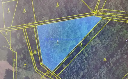 Prodej lesa 5 127 m², Rasošky, okres Náchod
