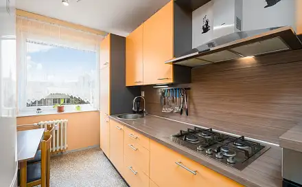 Prodej bytu 4+1 77 m², U Pivovarské zahrady, Ústí nad Labem - Krásné Březno