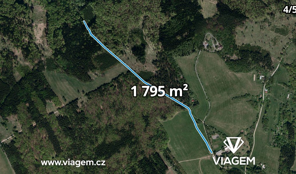 Prodej lesa 3 318 m², Bojkovice – náhled fotky 13