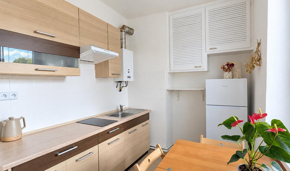 Pronájem bytu 2+1 49 m², Teplice – náhled fotky 7