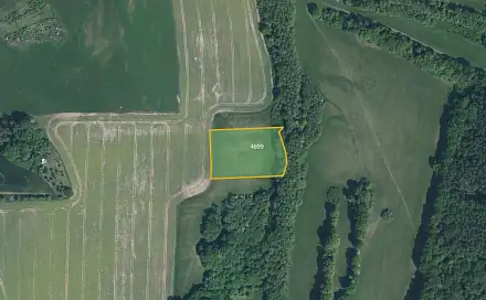 Prodej louky 16 411 m², Nedachlebice, okres Uherské Hradiště