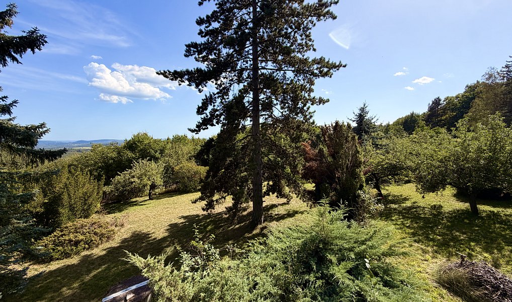 Prodej stavebního pozemku 1 510 m², Černolice – náhled fotky 2
