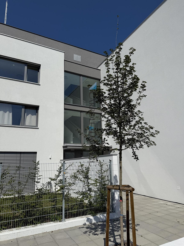 Pronájem bytu 1+kk 34 m² — photo 3