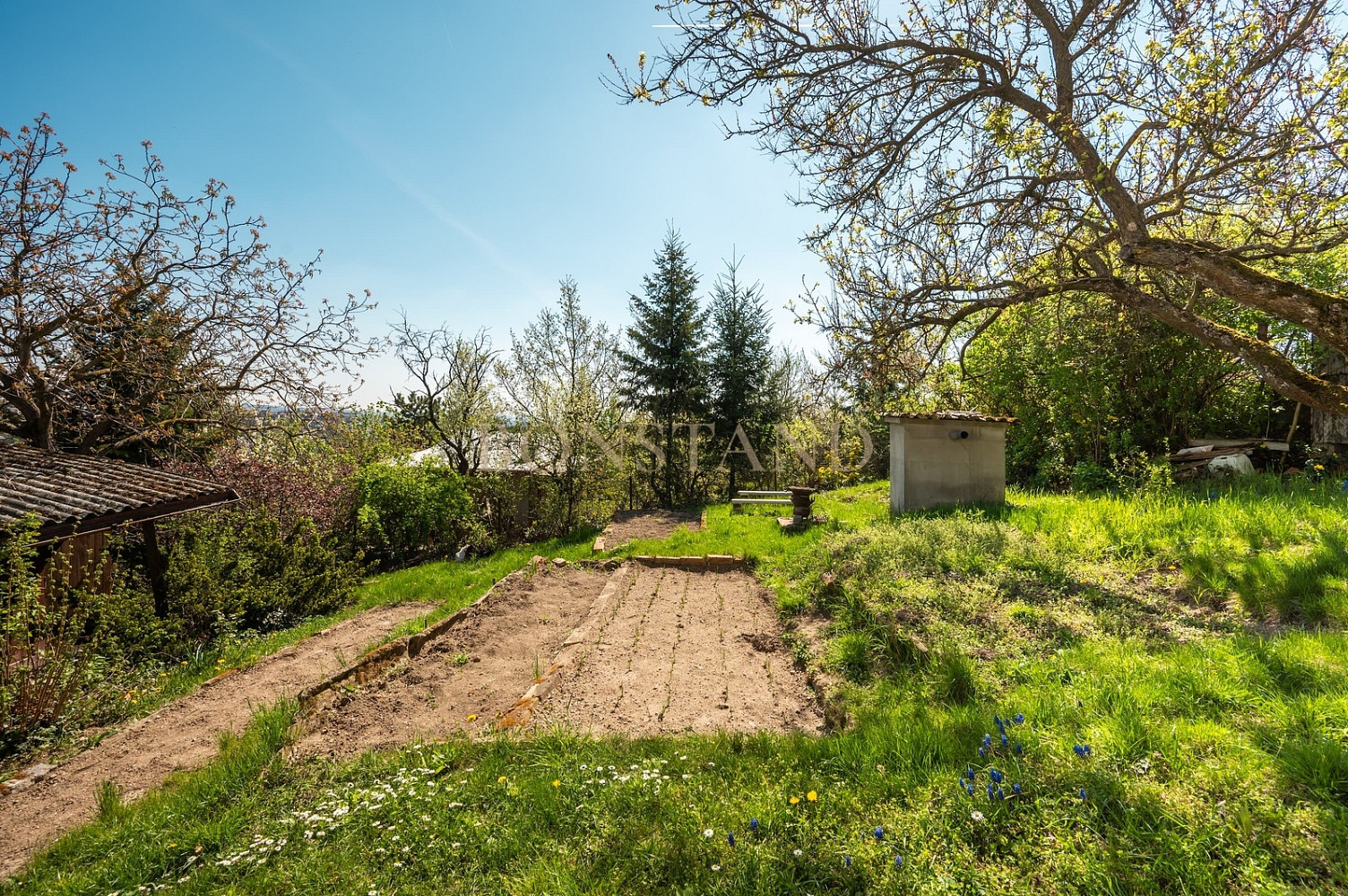 Prodej zahrady 627 m² — photo 4