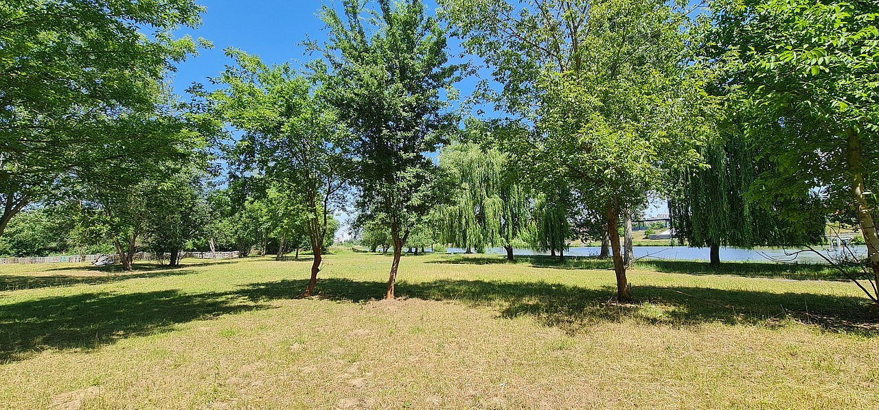 Prodej pozemku 10 828 m²