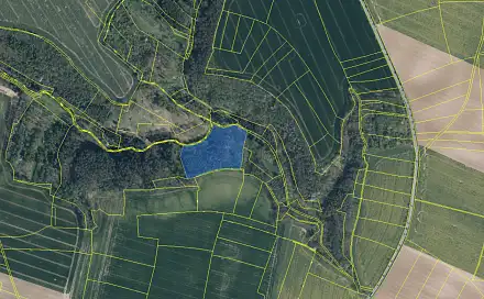 Prodej lesa 14 454 m², Mělnické Vtelno - Drnovice