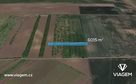 Prodej pole 1 002 m², Hrušky, okres Břeclav