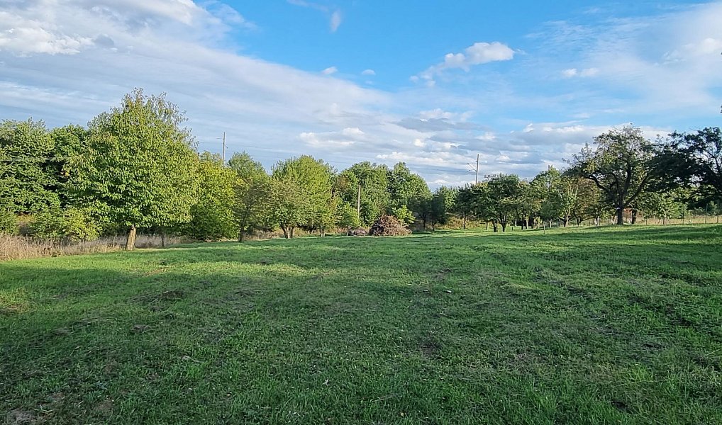 Prodej stavebního pozemku 3 197 m², Nemojany – náhled fotky 6