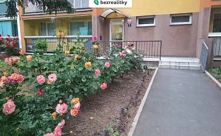 Prodej bytu 3+kk 60 m²