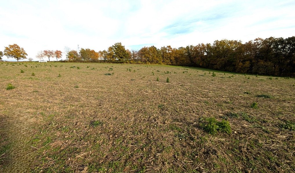 Prodej stavebního pozemku 3 986 m², Strakonice – náhled fotky 5