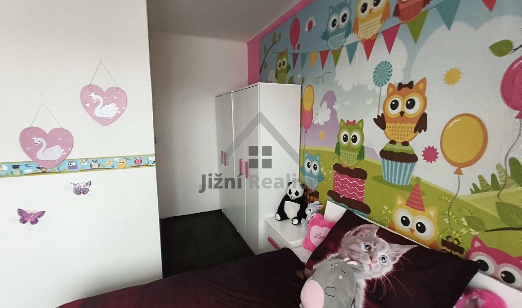 Prodej domu 450 m² s pozemkem 648 m², České Velenice – náhled fotky 13