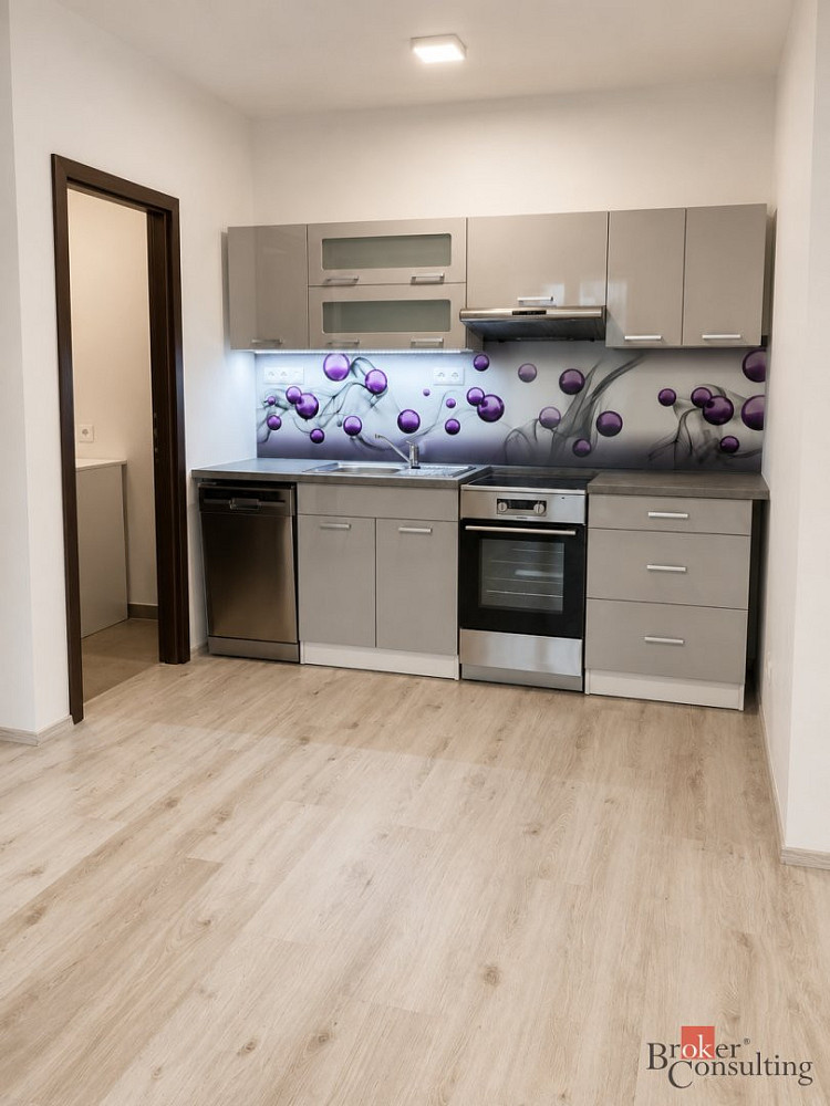 Pronájem bytu 2+kk 45 m² — photo 4