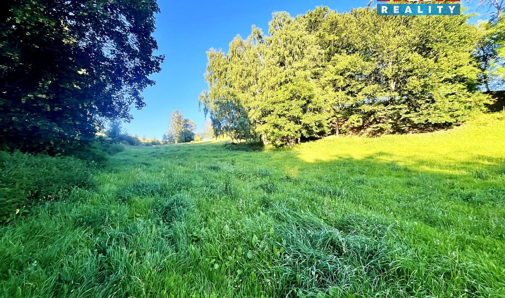 Prodej louky 5 449 m², Teplice nad Metují – náhled fotky 8