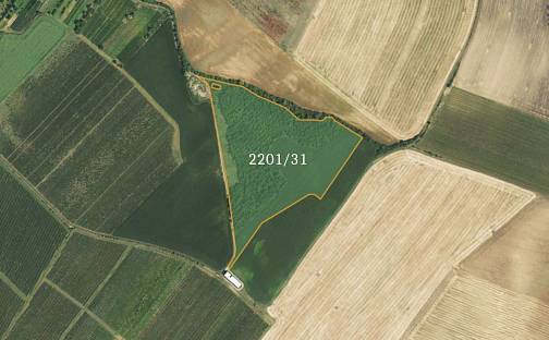 Prodej pole 71 982 m², Bořetice, okres Břeclav