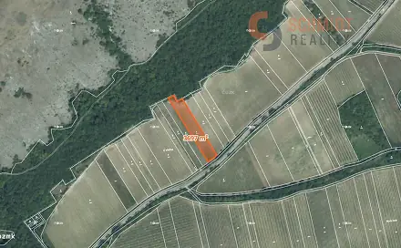 Prodej pozemku 3 697 m², Pavlov, okres Břeclav