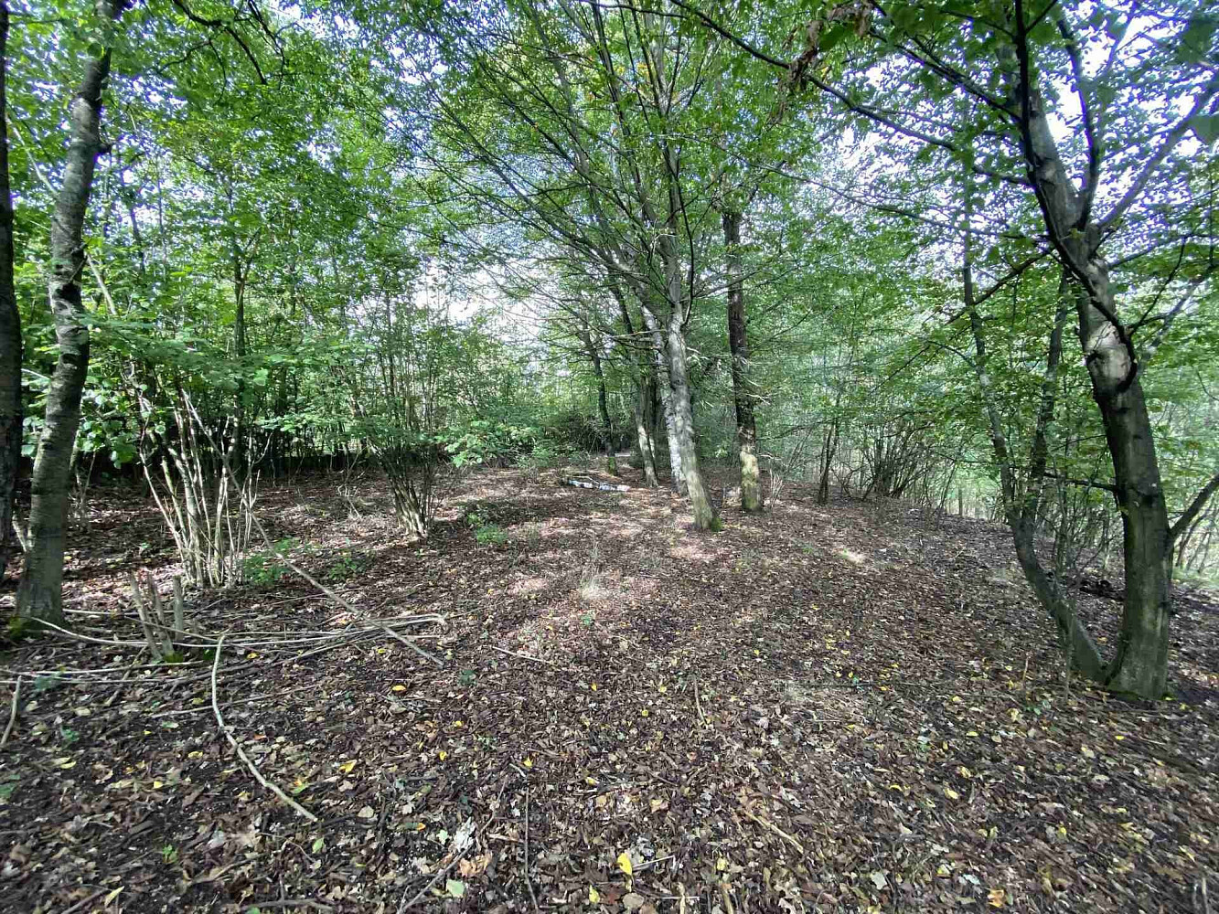 Prodej pozemku 764 m² - Widok 2