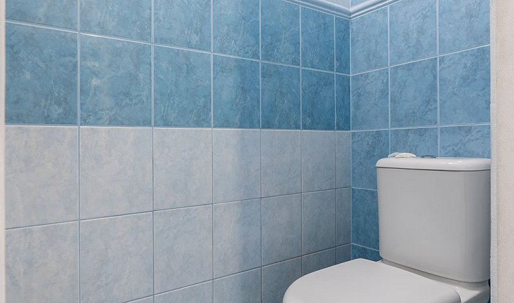 Pronájem domu 100 m² s pozemkem 200 m², Brandýsek – náhled fotky 10